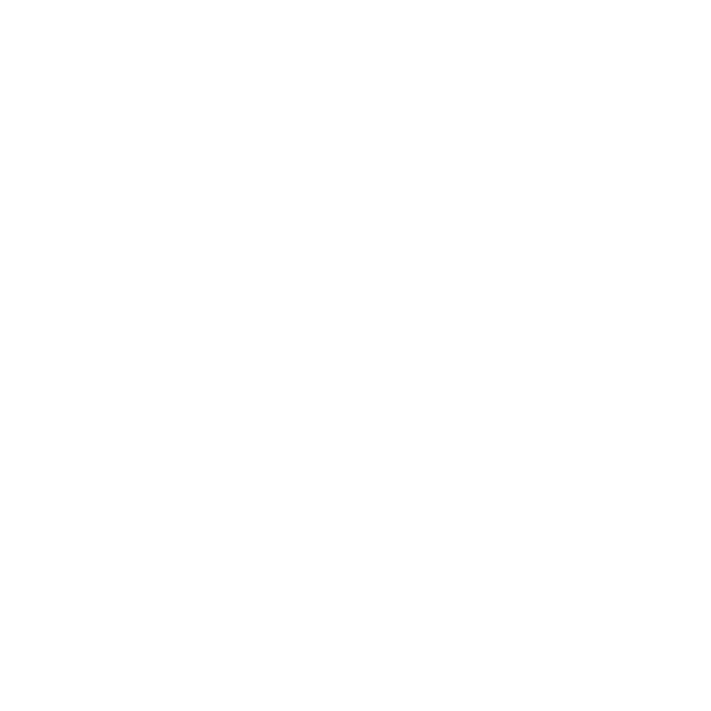 Logo Select Custom Floors